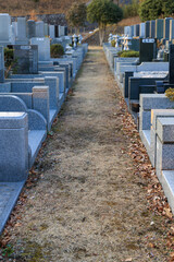 墓地の通路の両脇に並ぶ墓