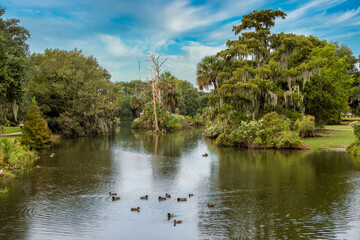 Lake in New Orleans City Park