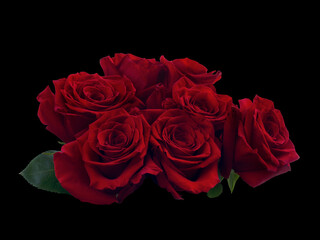 Bouquet of red roses isolated on a black background