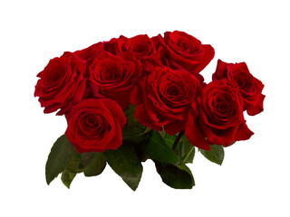 bouquet of red roses with green foliage
