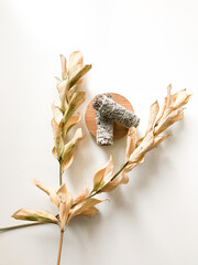 california white sage, beautiful layout and top view, incense and dried flowers on a white background
