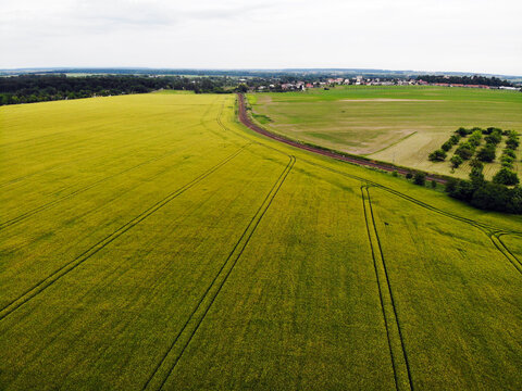 Photo of a green field showing the tracks of a tractor. We also see the railway line. © Markta