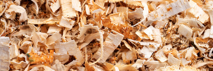 Woodworking wood shavings or wood curls. Panoramic background