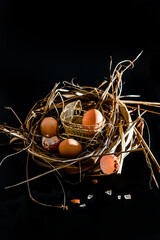 tiny baby pram and real eggs in a nest over black background, newborn and birth concept, idea of...