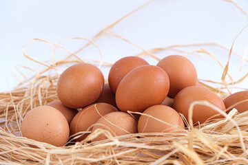 Brown eggs stack in hay with white background. Side or profile view, closeup and macro shot of shelled eggs with wicker or straw nest. No people.