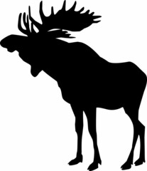 Elk Vector Graphics Collection Animals