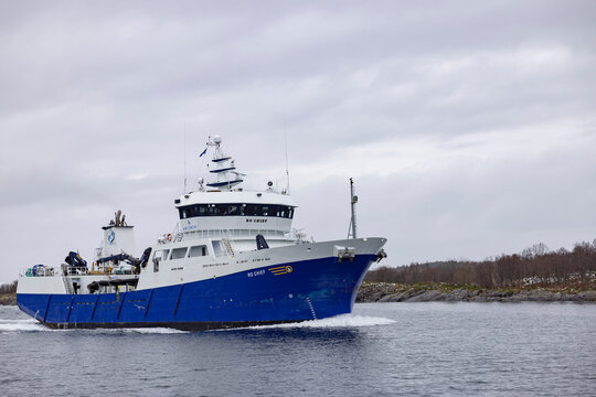 Wellboat RO CHIEF .Well capacity: 1200 m&sup3;, 2, Automatic tank cleaning system, 180 tonnes live salmon / trout, 600,000 smolts, .Br&oslash;nn&oslash;ysund ,Helgeland,Northern Norway,scandinavia,Europe