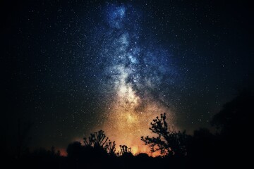 Fototapeta na wymiar The Starry Night