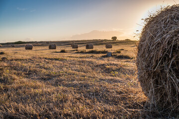 Paisagem planície alentejana em Portugal