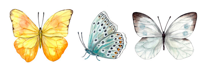 Set of realistically drawn watercolor butterflies (yellow with open wings, gray-blue with closed wings and spots, gray-brown with symmetrically open wings). Isolated on white background.