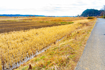 千葉県の田園風景