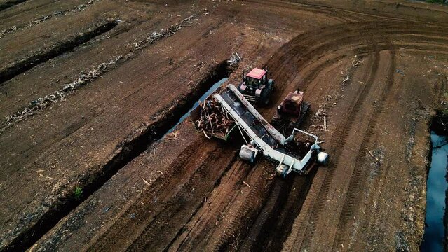 Peat Harvester Tractor on Collecting Extracting Peat. Mining and harvesting peatland. Area drained of the mire are used for peat extraction. Drainage and destruction of peat bogs. 