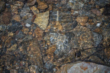 물 개울 거품 맑은 샘 자연 숲