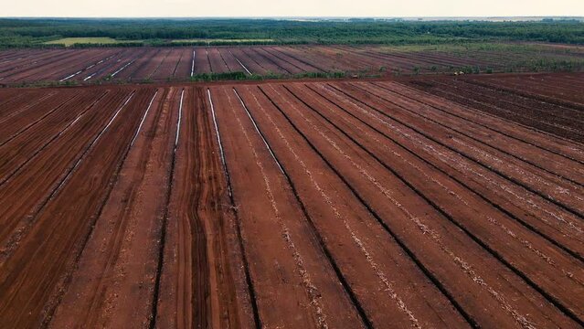 Peat Harvester Tractor on Collecting Extracting Peat. Mining and harvesting peatland. Area drained of the mire are used for peat extraction. Drainage and destruction of peat bogs. 