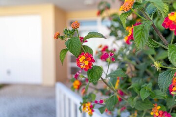 fotografias de imobili&aacute;rio