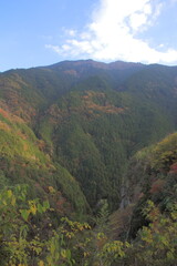 高知県　紅葉した山々の風景
