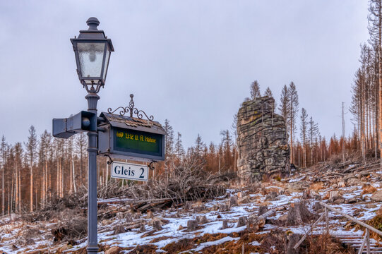 Feuersteinklippe Nationalpark Harz im Winter