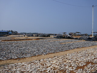 Negombo au Sri Lanka