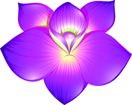 Flower Transparent Images – Browse 488,207 Stock Photos, Vectors, and Video