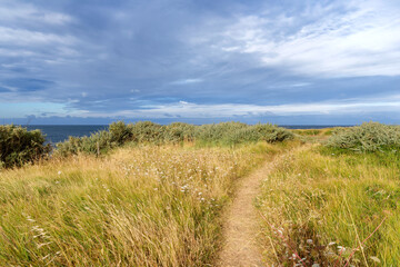 Fototapeta na wymiar Coastal path near Piriac village in Brittany