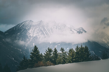 Winter / Landschaft