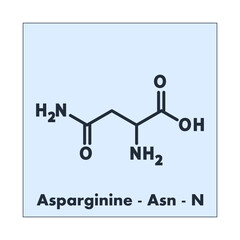 Asparagine - Asn - N - Non Essential Amino Acid molecular formula, flat chemical structure on blue background for chemistry and biology education.