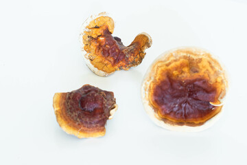 Dried Ganoderma Lucidum Mushroom isolated on white background. Ling Zhi Mushroom. Chinese traditional medicine