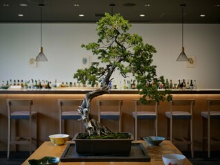 ギャラリーに展示されている松