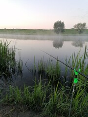 Fishing, fishing trip, hobby, fishing rods on supports.