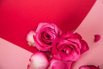 pink petals seen from above, concept Valentine's Day