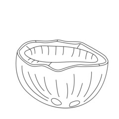 Coconut half line art. Outline. Vector, illustration, isolated