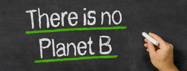 Text written on a blackboard - There is no Planet B