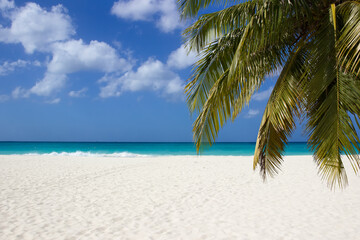 Obraz na płótnie Canvas White sand of caribbean beach