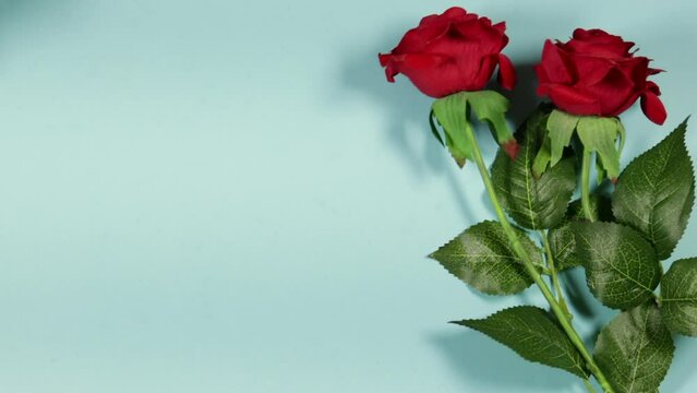 beautiful red rose flowers on blue background for valentine's or mother day 