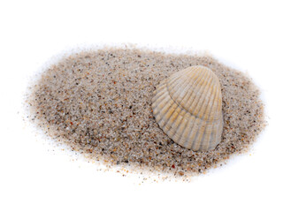 Muschel mit Sand vom Strand isoliert