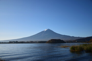 Fototapeta premium 河口湖と富士山
