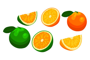 set of orange fruit vector