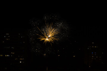 fireworks in the night sky