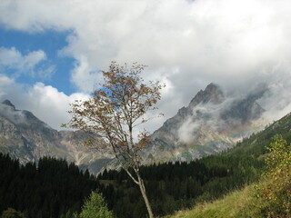 Einzelner Baum vor dem Hochkönig Bergmassiv in Österreich