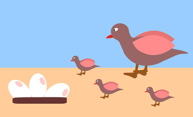 Red beak brown bird vector icon, eggs and chicks. Animal theme and love the environment