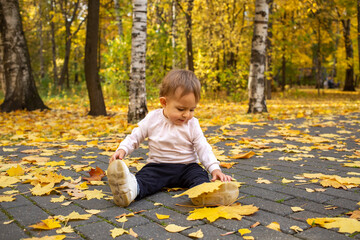 cute little girl sitting in yellow leaves on park path