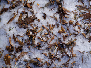 寒い冬の時期　霜の降りた地面と落ち葉と土