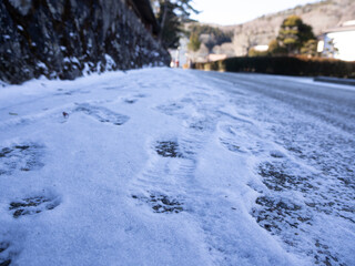 うっすらと足跡が付いた冬の雪道