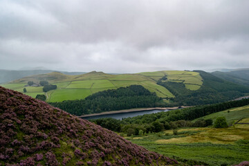 Vast landscape of Peak District hills covered with clouds and fog, green natural view of hill with heather patches and rocks. Moody landmark of british hillside, river and farmlands.