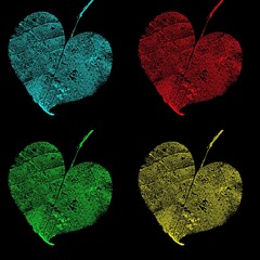 feuille cœur pop art