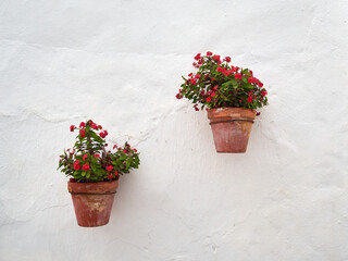 Fototapeta na wymiar Two ceramic pots with red flowers hanging on a whitewahed wall