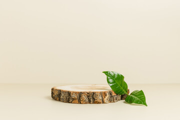 Blank wooden natural podium with green plant leaf, podium to display products, template for design, beige background