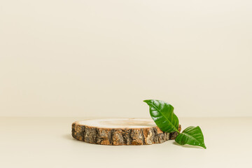 Blank wooden natural podium with green plant leaf, podium to display products, template for design,...