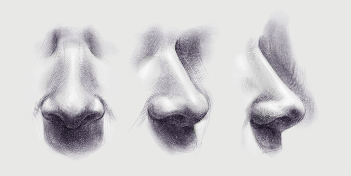 How To Draw Expressive Noses - Drawing Made Easy | Nose drawing, Music art  print, Drawing people