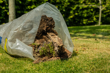 A plastic bag of garden waste including tree bark and vegetation, lying on grass